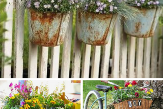 Follow The Yellow Brick Home - The Best Indoor House Plants For ...