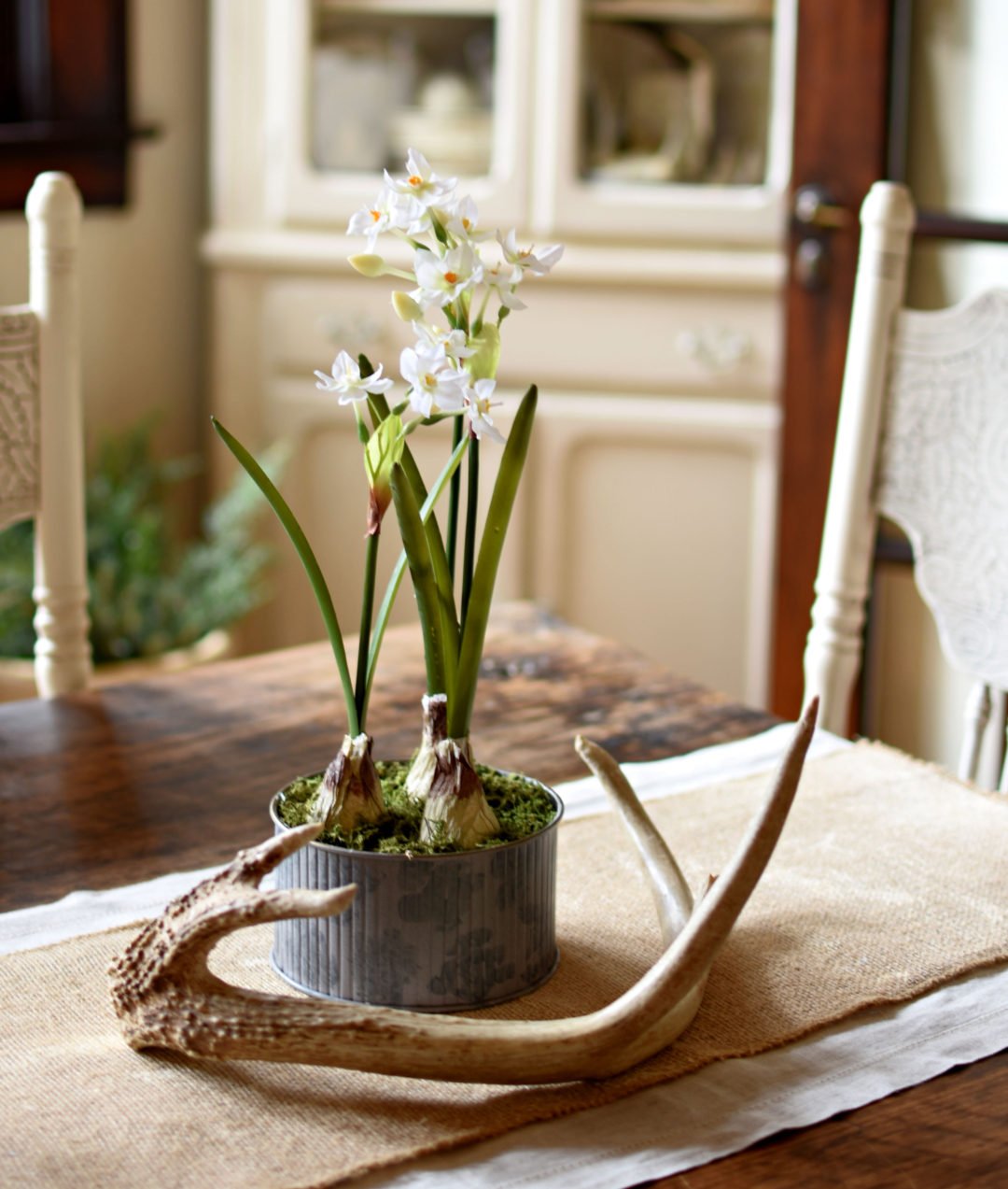 Follow The Yellow Brick Home Winter Decorating with Paperwhites