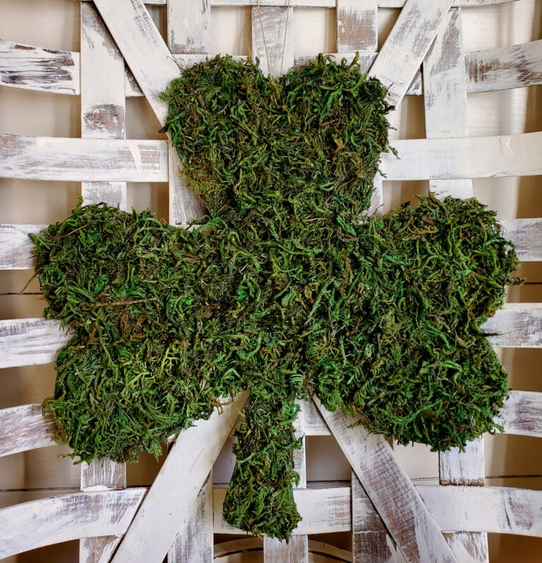 colgadora de puerta de shamrock de musgo