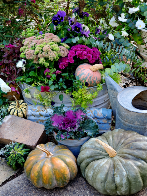 Preparing your garden for autumn – All Incredible Garden Store