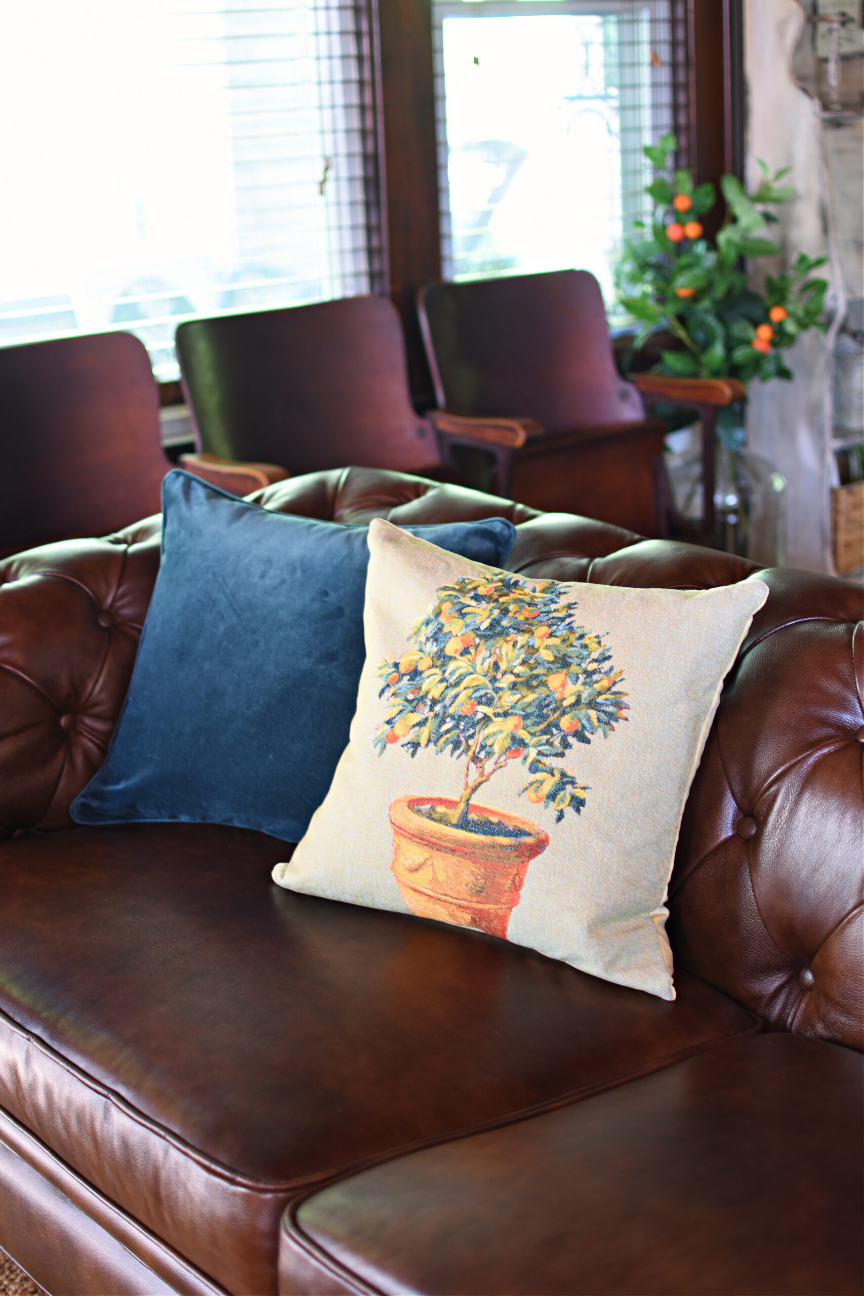 Birch lane best sale decorative pillows