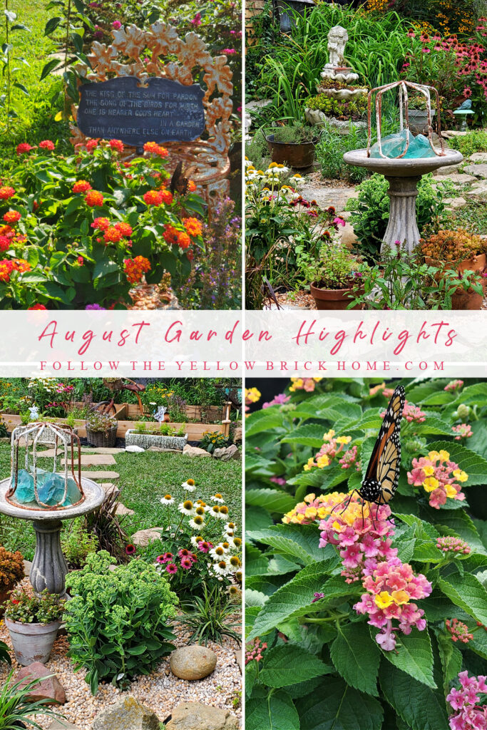 August Garden Highlights Late Summer Flower Power