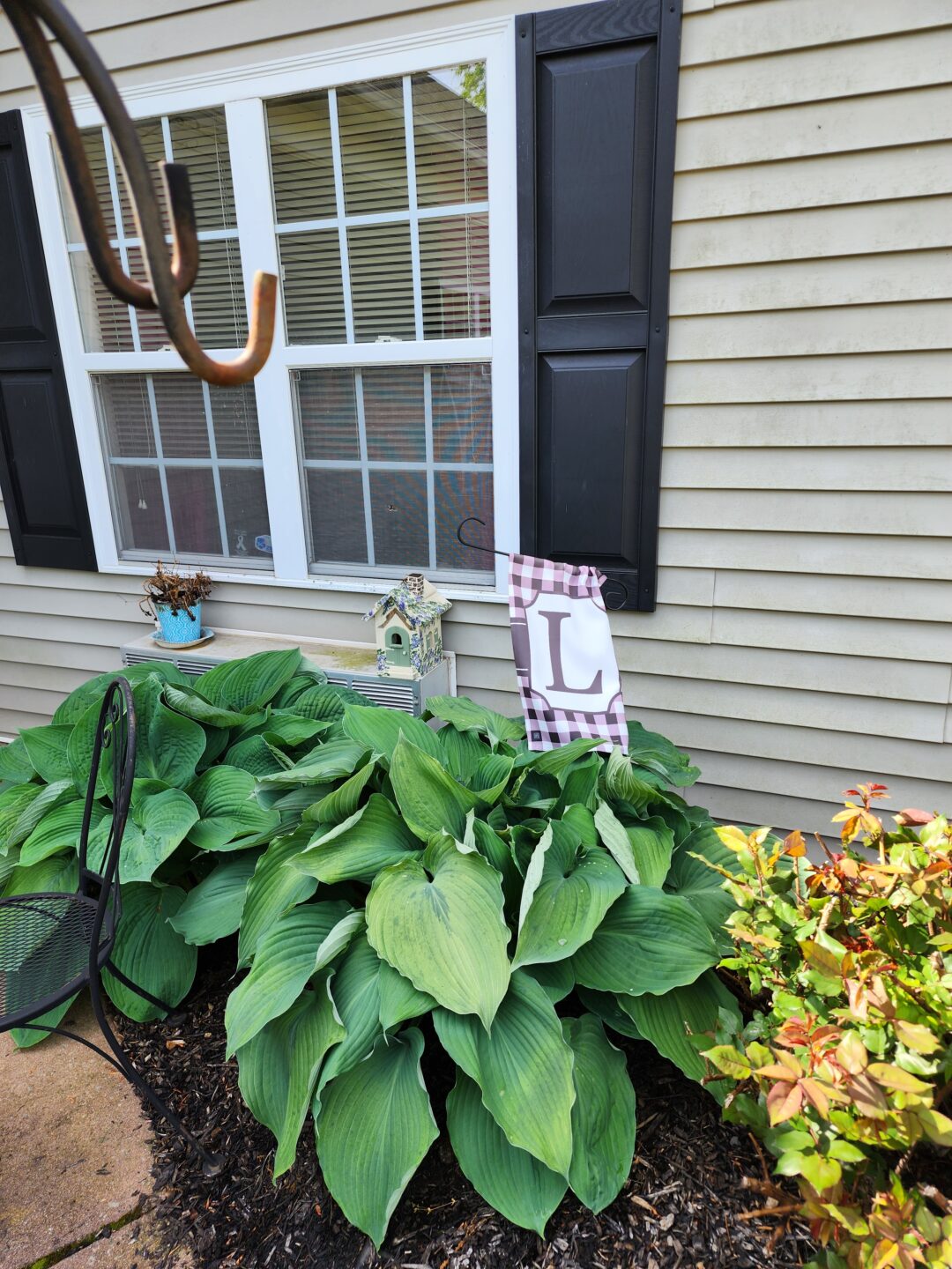 Follow The Yellow Brick Home New Backyard Shade Garden in Progress